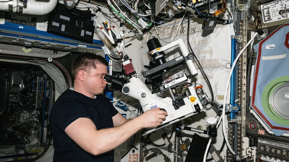 A cosmonaut working with research equipment inside a space station module
